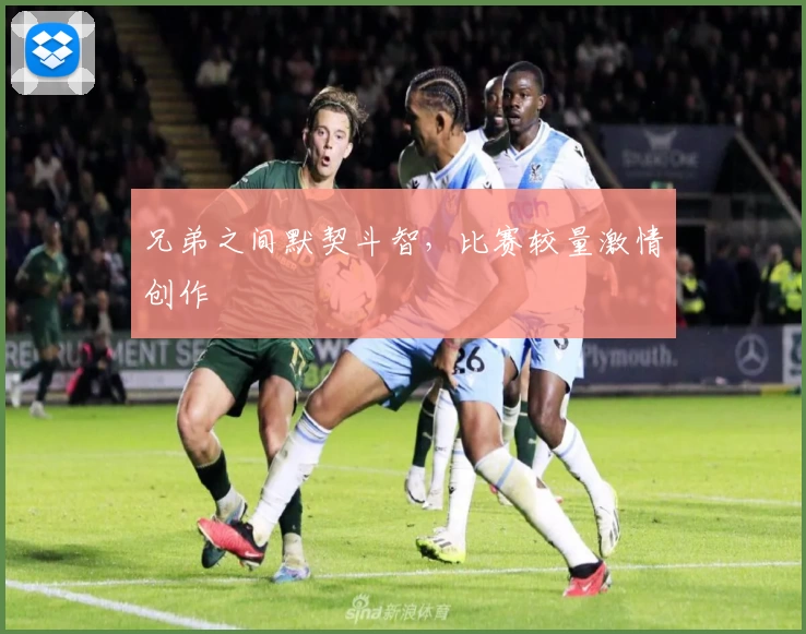 兄弟之间默契斗智，比赛较量激情创作