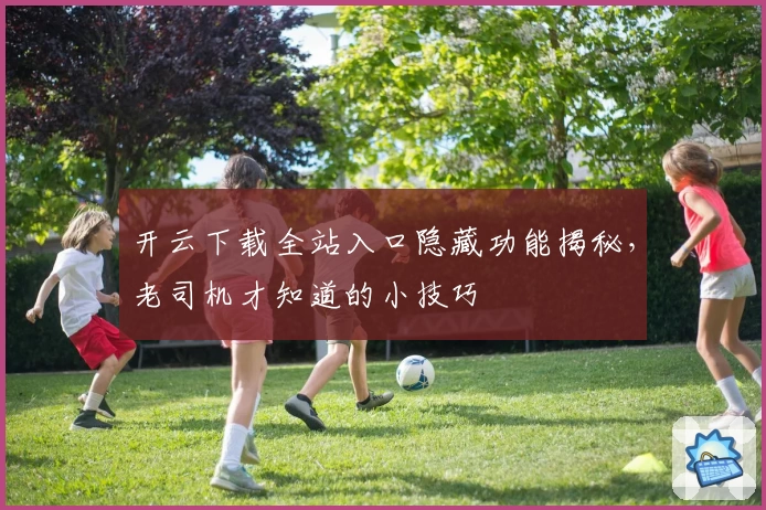 开云下载全站入口隐藏功能揭秘，老司机才知道的小技巧